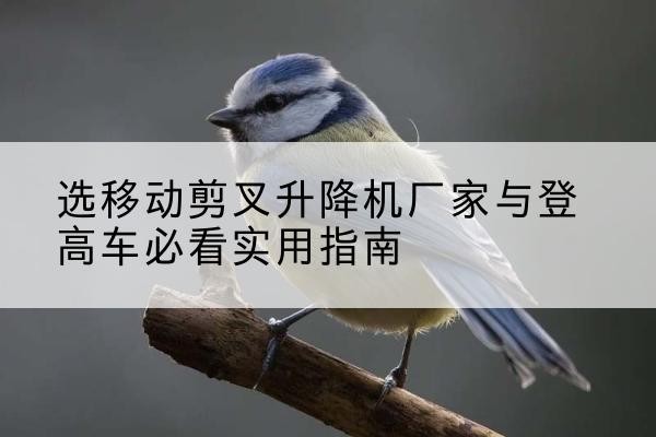 涪陵区电动升降机厂家-选移动剪叉升降机厂家与登高车必看实用指南