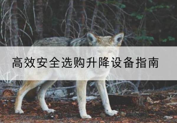 涪陵区升降货梯厂家推荐-*安全选购升降设备指南